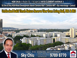 Blk 441A Clementi Avenue 3 (Clementi), HDB 5 Rooms #153551812